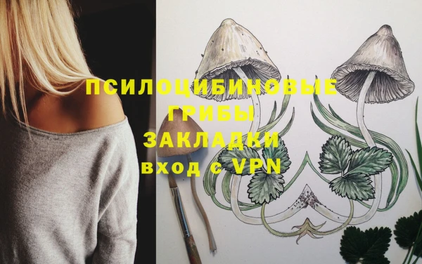 ALPHA PVP Баксан