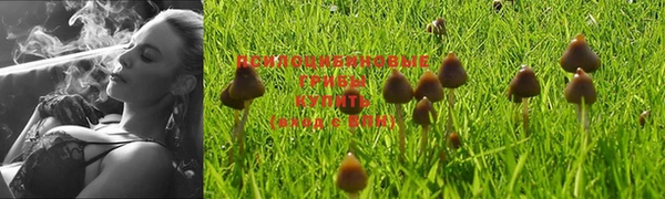 бутират Балабаново